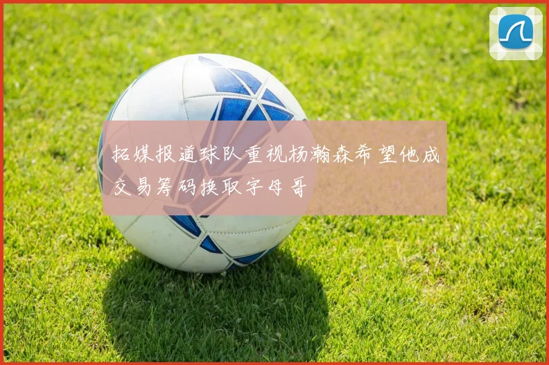 拓媒报道球队重视杨瀚森希望他成交易筹码换取字母哥